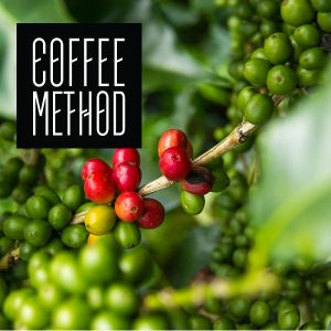 November Ethiopia Bali Colombia Coffee