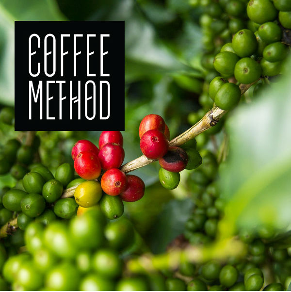November Ethiopia Bali Colombia Coffee